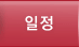 일정